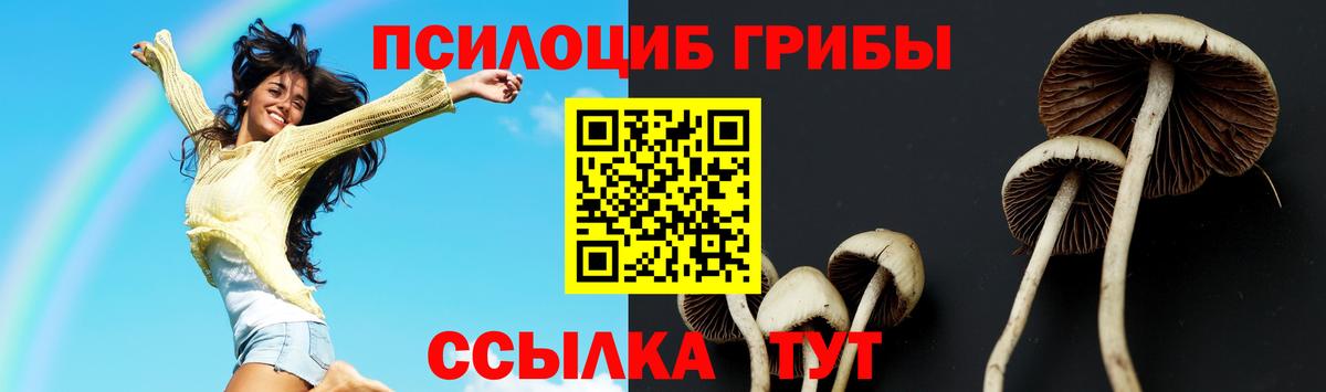 Галлюциногенные грибы GOLDEN TEACHER Борисоглебск